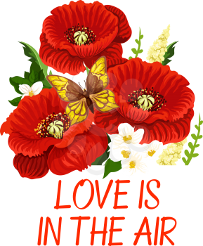 Spring red flowers bouquet icon for springtime holiday and seasonal greeting card with Love is in Air wish. Vector butterfly on flourish blooms of red poppy and white garden crocus petals in blossom