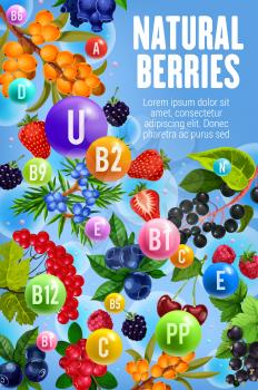 Vitamins and minerals in garden and forest berries. Vector multivitamins complex in berry fruits cherry, cranberry or sea buckthorn, honeysuckle and juniper, blackcurrant berry and organic barberry
