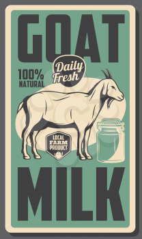 goat milk products, dairy farm 100 percent natural organic food vintage poster. Vector cattle farming milk production or dairy shop, goat domestic animal and milk can