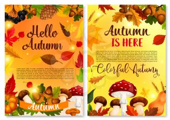 Hello Autumn or Fall is her greeting card or poster design of pumpkin, amanita or chanterelle forest mushroom, rowan berry harvest. Vector pine cone, maple leaf or oak acorn and autumn falling leaves