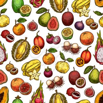 Exotic fruit seamless pattern background with tropical berry sketch. Orange, papaya and grapefruit, fig, durian and feijoa, carambola, passion and dragon fruit, lychee, guava, rambutan backdrop design