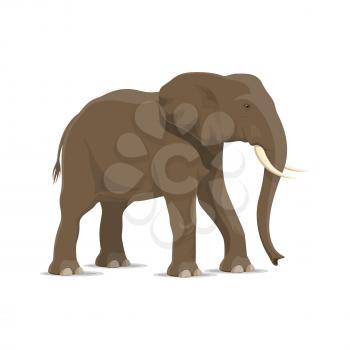 Elephant animal cartoon icon of african savanna mammal. Gray elephant standing sideways isolated symbol for african safari hunting, zoo mascot or savanna wildlife adventure themes design