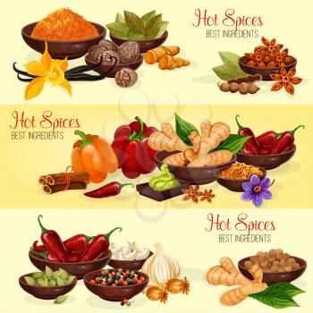 Hot spice banner of natural food ingredient. Chili pepper, ginger and nutmeg, garlic, cinnamon and vanilla, anise star, cardamom and bay leaf, turmeric, wasabi and saffron for spice shop label design
