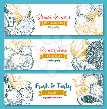Exotic fresh organic fruits sketch banners. Vector tropical juicy lychee, carambola or papaya and passion fruit maracuya or durian and grapefruit, banana and kiwi tropic fruit harvest for farm market