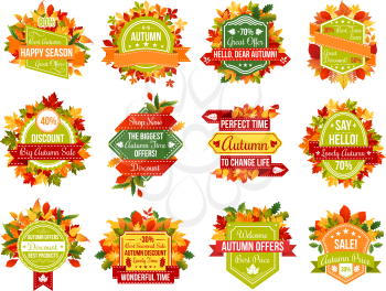 Autumn sale icons and tag ribbons for seasonal price discount promo on autumn foliage of maple leaf, oak acorn fall, chestnut or birch and poplar falling leaves. Vector isolated design set