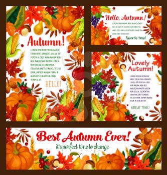 Autumn harvest posters or banners of pumpkin or grape and rowan berry, cherry and dog-rose fruits on autumn foliage. Vector falling leaves of maple, chestnut or oak acorns, corn and wheat or rye