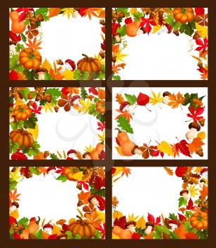 Autumn foliage of maple leaf, birch or rowan berry, oak acorn or elm and aspen tree frame with blank space for greeting card or holiday poster. Vector pine or fir cone, pumpkin and mushroom harvest