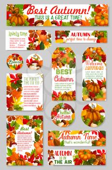 Hello Autumn and Welcome Fall seasonal greeting card, tag or banner of maple and birch leaf, wheat or rye and pumpkin harvest, amanita mushroom and oak acorn. Vector autumn holiday design set