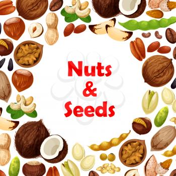 Nuts and fruit seeds poster. Vector walnut, hazelnut or peanut and coconut, almond or pistachio and bean legume pod, macadamia or filbert kernel nut and pumpkin or sunflower seeds