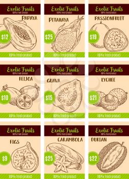Exotic fruits price cards for tropical papaya, pitahaya or passionfruit and feijoa. Vector sketch farm harvest of tropic guava, lychee or figs and carambola starfruit or durian for fruit market