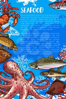 Seafood poster of fresh octopus, trout or flounder and squid, lobster crab or salmon and tuna. Vector sketch underwater prawn shrimp, ocean spats and herring sketch for sea fish food market