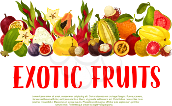 Exotic tropical fruits poster template for farm market. Vector harvest of tamarillo, durian or starfruit carambola and yuzu apple, tropic avocado or papaya and juicy dragonfruit or mangosteen and figs