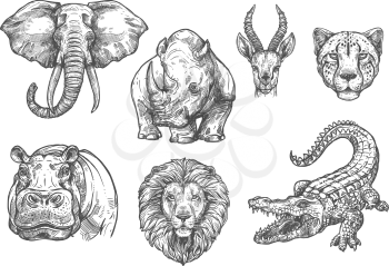 Wild African animals sketch icons. Vector isolated set of elephant, hippopotamus or rhinoceros, lion or alligator crocodile and tiger cheetah for safari adventure or welcome to wildlife zoo design