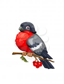 Bullfinch cartoon winter bird sitting on branch of viburnum tree with red berries and green leaf. Vector Eurasian bullfinch with gray and red plumage, wild bird mascot design