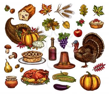 Thanksgiving symbols and holiday sketch icons. Vector isolated set of Turkey or roasted chicken and Thanksgiving pie, pumpkin and autumn harvest from cornucopia, maple or rowan leaf and pilgrim hat
