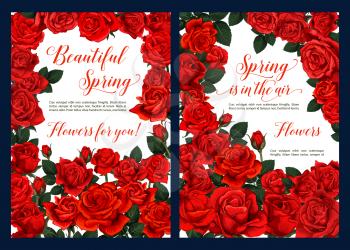 Spring season floral poster with red rose flower frame. Springtime blossom of garden rose festive banner with green leaf and flower bud for Mother Day greeting card and Spring Holiday themes design