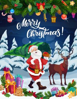 Santa carrying Christmas tree vector greeting card with Xmas garland and New Year gifts. Presents, ribbon bows and bell, Claus, reindeer and gingerbread, pine, holly and balls, snow and candies