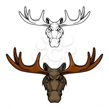 Moose animal vector icon with head of elk stag or bull, hunting club or sport team mascot design. Wild forest wapiti with deer antlers and brown fur, hoofed and horned mammal of Canada, North America