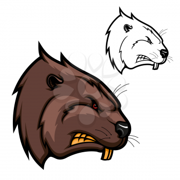 Beaver animal vector mascot of rodent head with angry muzzle, strong teeth, brown fur and red eyes. Forest river or woodland wildlife, hunting sport club and zoo icon design
