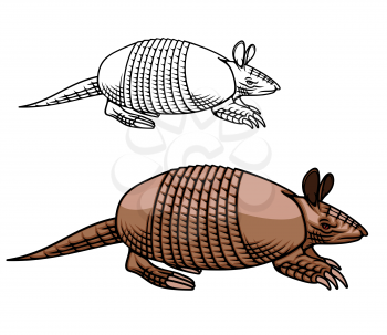 Armadillo animal vector icon design of American mammal with brown armoured shell or carapace, legs with scale and long claws. Nine-banded armadillo mascot of zoo or hunting sport club