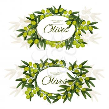 Green olives bunch leaves and fruits. Vector olives for oil and dishes, extra virgin product or Italian or Spanish cuisine in round wreath. Edible natural product vector vegetarian foliage food icon