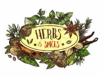 Herbs and spices symbol for seasoning or condiments. Rosemary and thyme, basil and mint, sage and bay leaf, nut and oregano, seeds and cinnamon sticks. Fragrant plants for cooking vector isolated