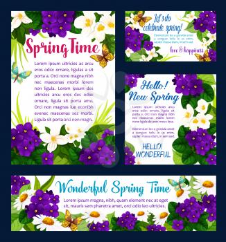 Spring season holiday greeting card template with flower and butterfly. Chamomile, violet and crocus, jasmine and camomile flower with white and purple blossom floral banner for Hello Spring concept