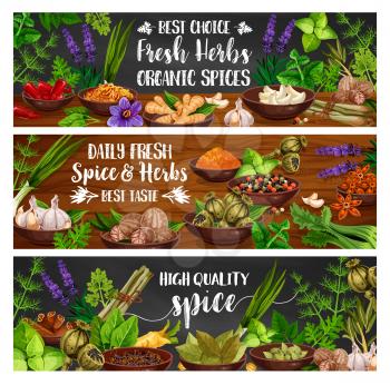 Fresh herbs and spices vector banners of cooking condiments and vegetable seasonings. Pepper, garlic and basil, ginger, cinnamon and nutmeg, parsley, mint and dill, saffron, turmeric and star anise