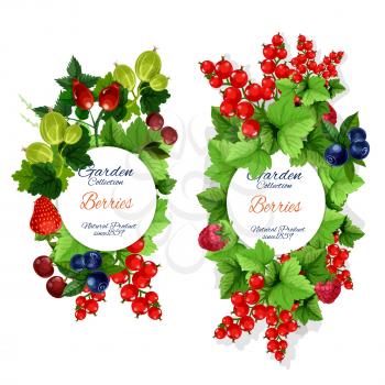 Berries and berry fruits, organic farm harvest. Vector blueberry, blackberry or black and red currant with strawberry, raspberry and gooseberry, cherry and briar fruits