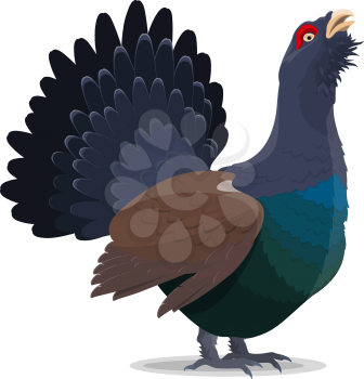 Grouse bird cartoon icon. Vector isolated wild forest blackcock bird for zoo, zoology or hunting open season theme