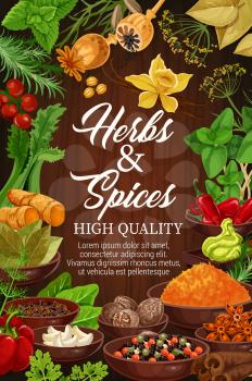 Organic spices and herbal seasonings in bowls, cooking design. Vector vanilla, poppy seeds and red chili pepper, ginger root or celery and wasabi with basil or dill and parsley