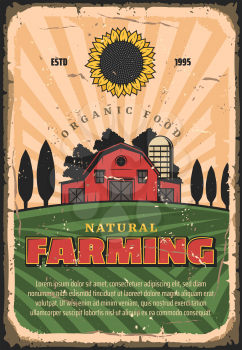 Farming and agriculture retro vector vintage design. Farmland with wheat or rye grain, barn and tree fields, sunflower. Organic and natural food production