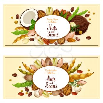 Nuts banners set. Vector fruit kernels and food plant seeds of coconut, cashew or almond and coffee beans, walnut or chestnut and organic peanut or legume peas pod for sweet snacks