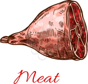 Meat sketch icon. Vector isolated fresh beef loin or tenderloin filet and pork or veal hind quarter, mutton ribs and chicken or turkey leg for butchery shop or farmer market
