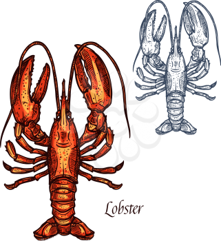 Lobster or crayfish sketch vector icon. Saltwater crawfish crustaceans marine animal fauna species with claws. Isolated symbol for seafood restaurant sign, fishing club or fishery market