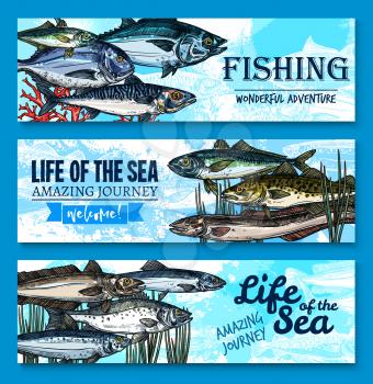 Fishes banners for fishing club or fisherman adventure journey to sea life. Vector ocean trout, salmon or mackerel and marlin, flounder or tuna and herring sprats with sheatfish and eel or carp