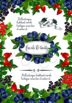 Berries poster for fruit shop or dessert market. Vector blueberry, briar or bramble and strawberry, forest raspberry or blackberry and cranberry, garden cherry and organic red currant and blackcurrant