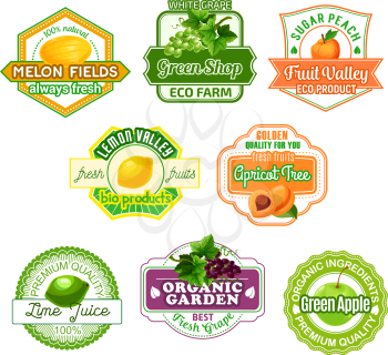 Fruits icons for juice label or farm market. Vector set of melon, white or black grape and juicy peach, lime or lemon citrus ripe summer harvest and apple for green organic shop templates