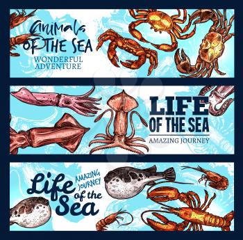 Sea life sketch banners of ocean seafood mollusk or tropical fishes and crustacean animals. Vector design of squid, exotic fish or cuttlefish and octopus or lobster crab and shrimp in oceanarium
