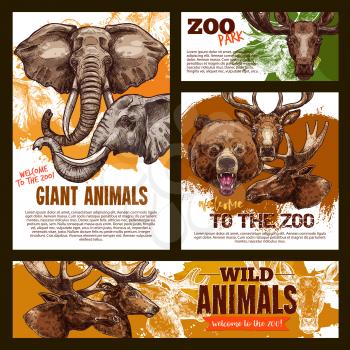 Wild African and giant animals zoo poster and banner sketch template. Vector elephant, grizzly bear or elk and deer or reindeer in outdoor nature for safari adventure or welcome to zoo design