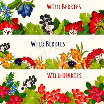 Wild berry cartoon banner set. Forest blackberry, cranberry, cowberry, barberry, rowanberry, briar, honeysuckle, bird cherry and sea buckthorn fruit and green leaves border for food and drink design