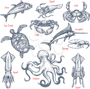Sea animal sketch set with seafood and fish. Tuna, crab, octopus, shrimp, swordfish, squid and sea turtle isolated symbol for underwater wildlife, sea fishing, seafood and fish market design