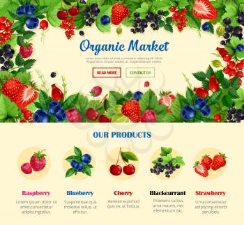 Fruit and wild berry, organic food banner template. Strawberry, cherry, blueberry, raspberry, black and red currant, gooseberry, forest briar arranged into frame and menu button for web banner design
