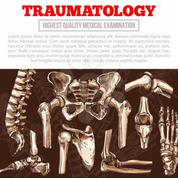 Traumatology medicine poster template. Bone and joint of human skeleton sketch banner with hand, leg, knee, hip, foot, spine, elbow, finger, pelvis, shoulder, thorax, ankle for hospital, clinic design