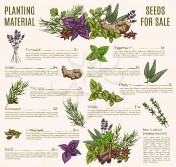 Culinary herb and spice sketches for information poster template. Basil, mint, rosemary, thyme, cinnamon, ginger, anise star, oregano, cardamom, sage and clove with text layout for organic shop design