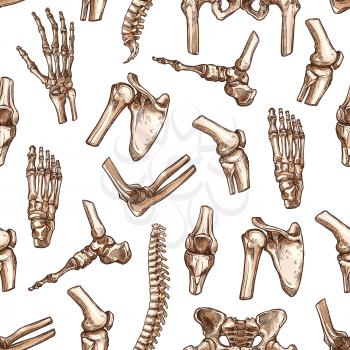 Human skeleton bone seamless pattern background. Medical pattern with bone and joint of hand, knee, hip, foot, spine, elbow, pelvis, shoulder, wrist, arm, finger sketches for anatomy, medicine design