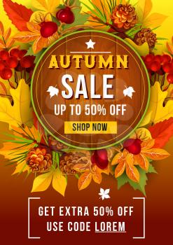 Autumn sale up to 50 percent discount off poster for September seasonal discount promo shopping. Vector design of forest tree leaf of maple, oak and birch, berry harvest of rowan and dog-rose