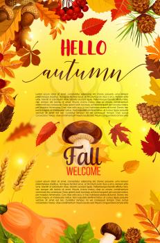 Hello autumn banner with fall nature frame. Orange maple leaves, pumpkin vegetable, forest tree foliage, acorn branch, mushroom, rowanberry fruit, pine cone with ribbon banner for Thanksgiving design