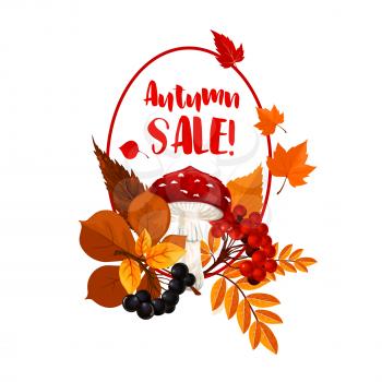 Autumn season sale poster. Fall nature, forest mushroom and berry, autumn foliage of maple and chestnut tree, rowanberry branch and fly agaric for discount price tag and retail themes design