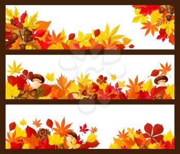 Autumn leaf border of fall season banner. Yellow maple leaves and orange foliage of forest tree, acorn branch, mushroom, briar fruit and pine cone poster with copy space for greeting card design